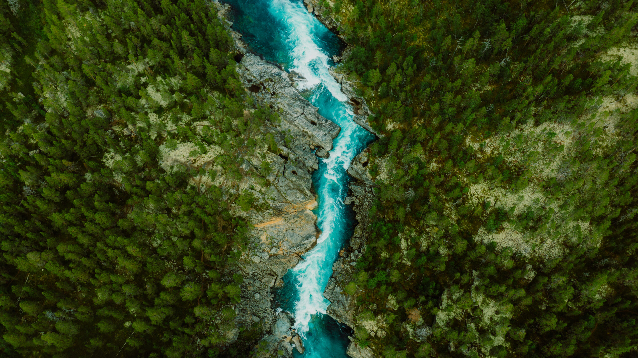 Drone high-angle photo of the turquoise-colored mountain river flowing in the pine woodland with a view of the mountain peaks in the background in Innlandet County, Norway